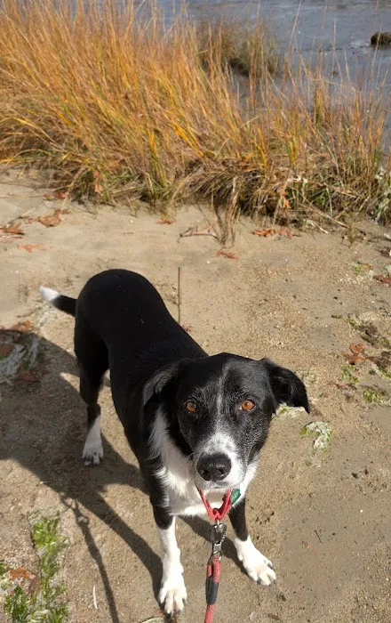 NorthPaws Veterinary Center Picture 8