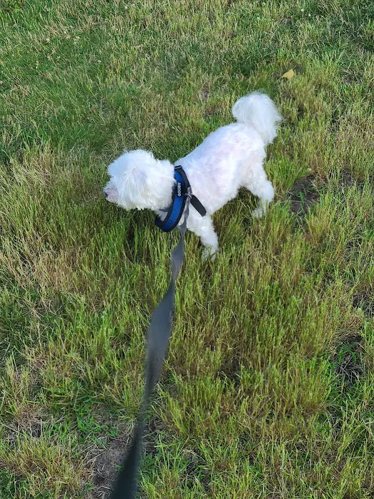 NorthPaws Veterinary Center Picture 10