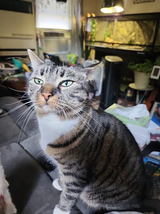 NorthPaws Veterinary Center Picture 9