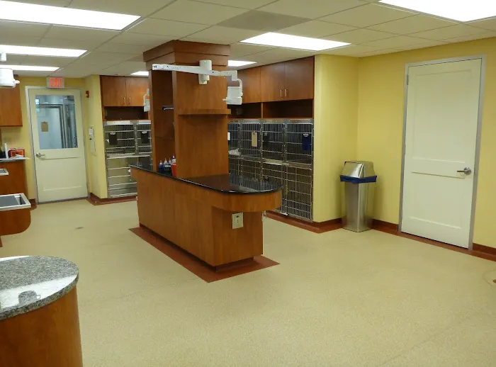 NorthPaws Veterinary Center Picture 7