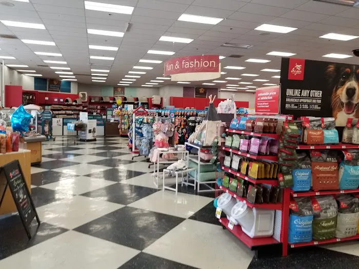 Petco Picture 3