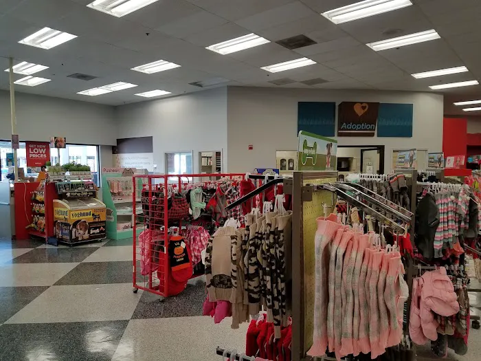 Petco Picture 2