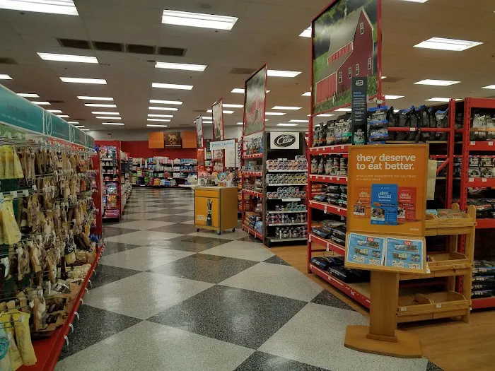 Petco Picture 5