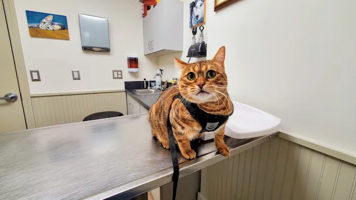 Litchfield Hills Veterinary Hospital Picture 7