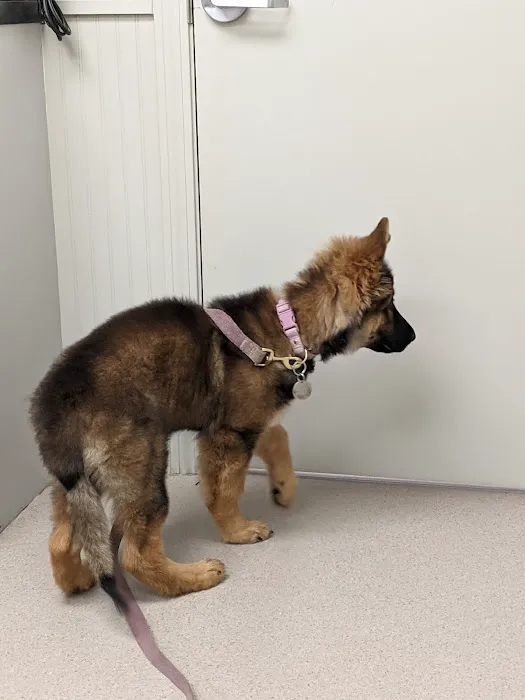 Litchfield Hills Veterinary Hospital Picture 5