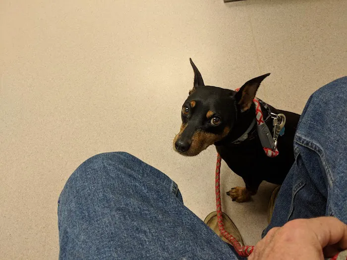 Litchfield Hills Veterinary Hospital Picture 8