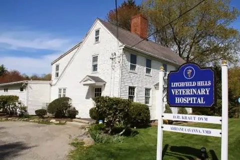 Litchfield Hills Veterinary Hospital Picture 4
