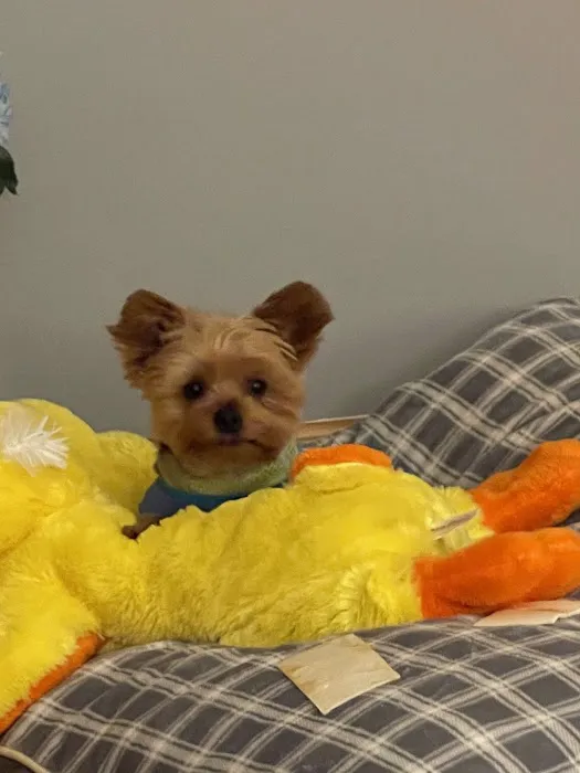 Petco Picture 1