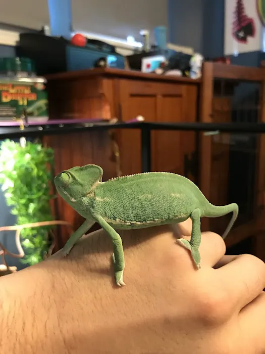 Petco Picture 2