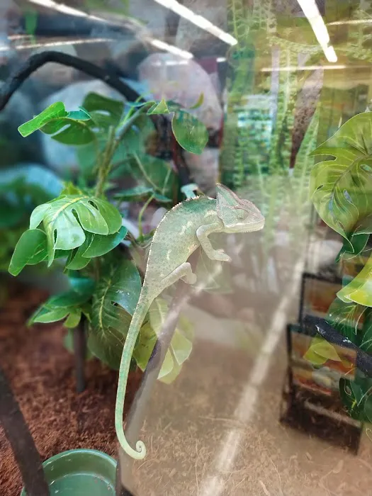 Petco Picture 9