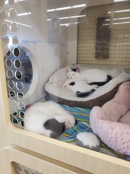 Petco Picture 6