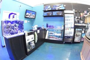 Auto Service Center