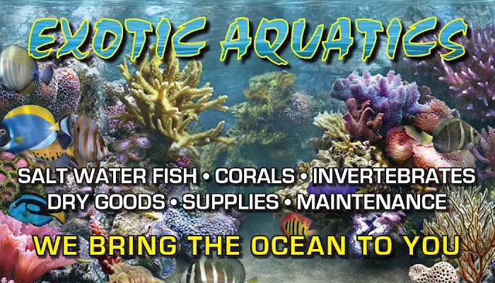 Exotic Aquatics Picture 8