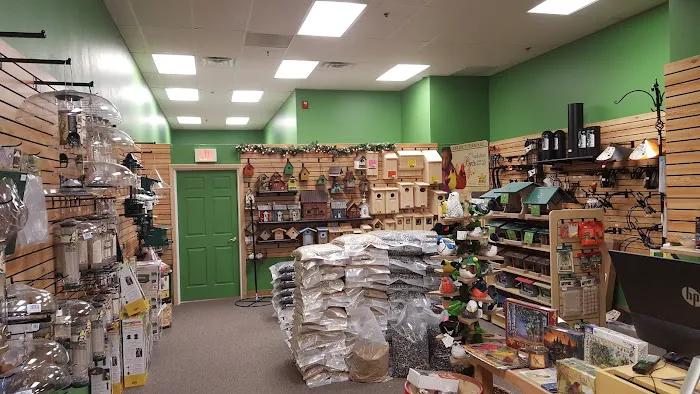 Flying Friends Wild Bird Shop Picture 4
