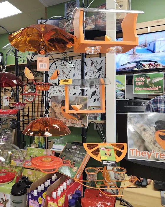 Flying Friends Wild Bird Shop Picture 3