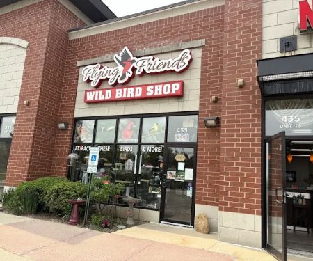 Flying Friends Wild Bird Shop