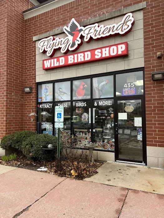 Flying Friends Wild Bird Shop Picture 10