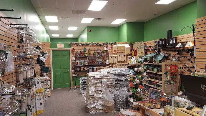 Flying Friends Wild Bird Shop Picture 8