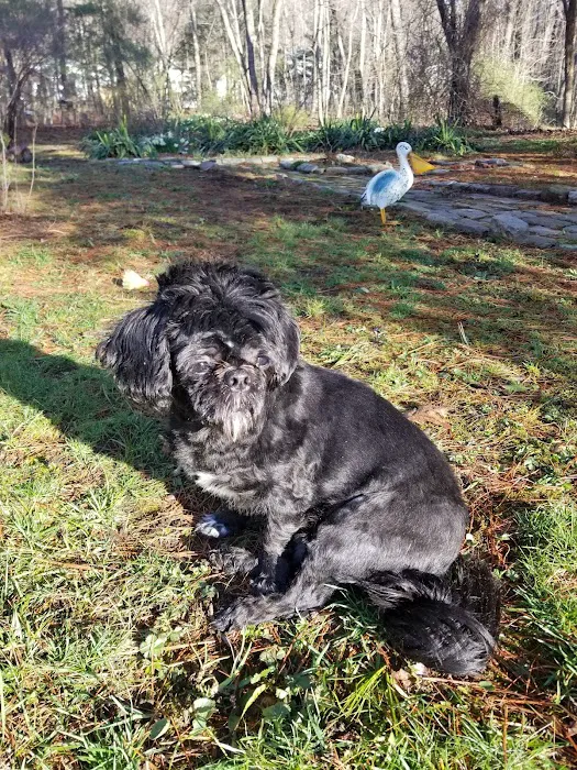 Second Chance Community Veterinary Hospital of Worcester Picture 2