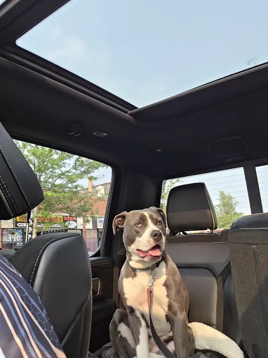 Second Chance Community Veterinary Hospital of Worcester Picture 6