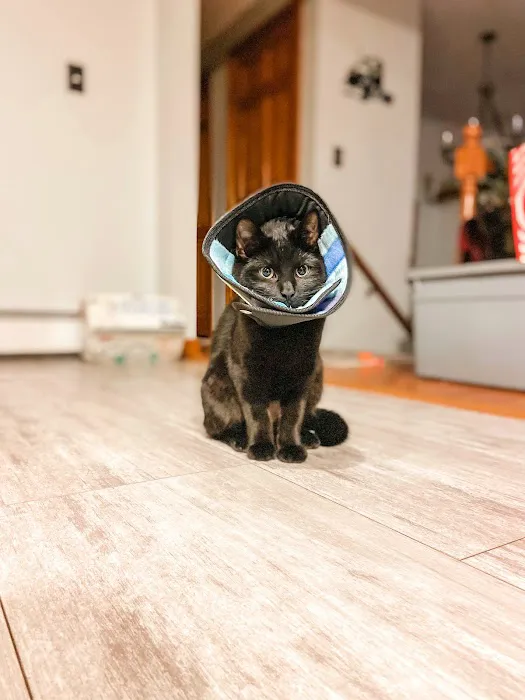 Second Chance Community Veterinary Hospital of Worcester Picture 5