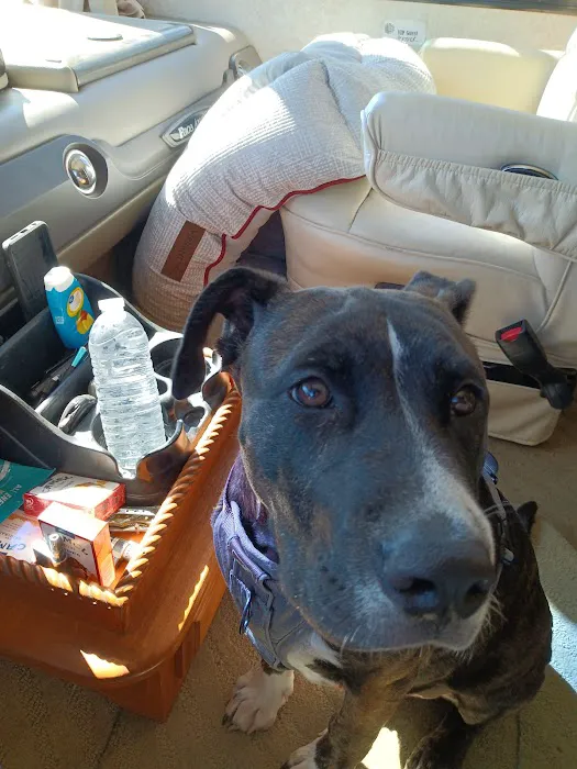 Second Chance Community Veterinary Hospital of Worcester Picture 8