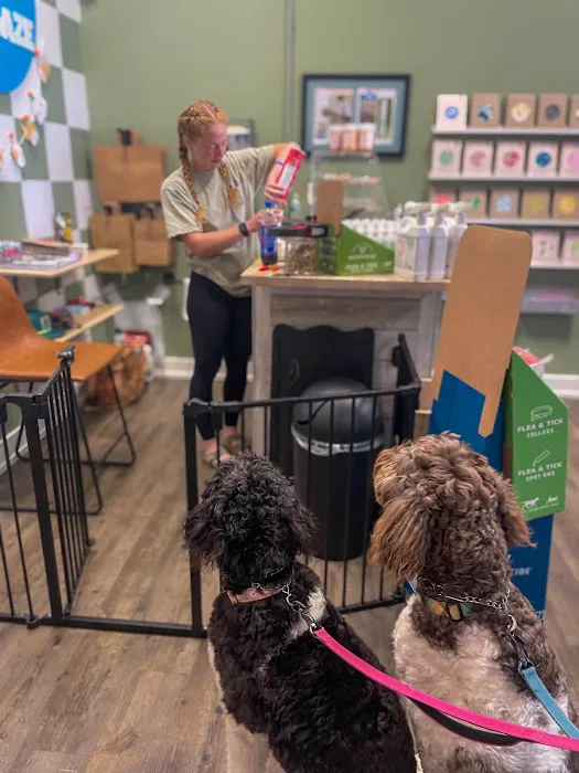 Dog Daze Boutique Picture 5