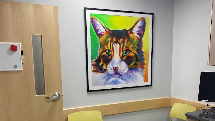 Veterinary Emergency & Specialty Hospital (VESH) Picture 10