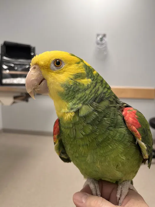 Veterinary Emergency & Specialty Hospital (VESH) Picture 5