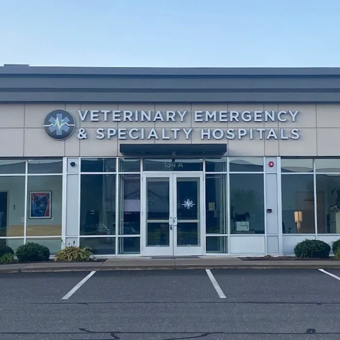 Veterinary Emergency & Specialty Hospital (VESH) Picture 8