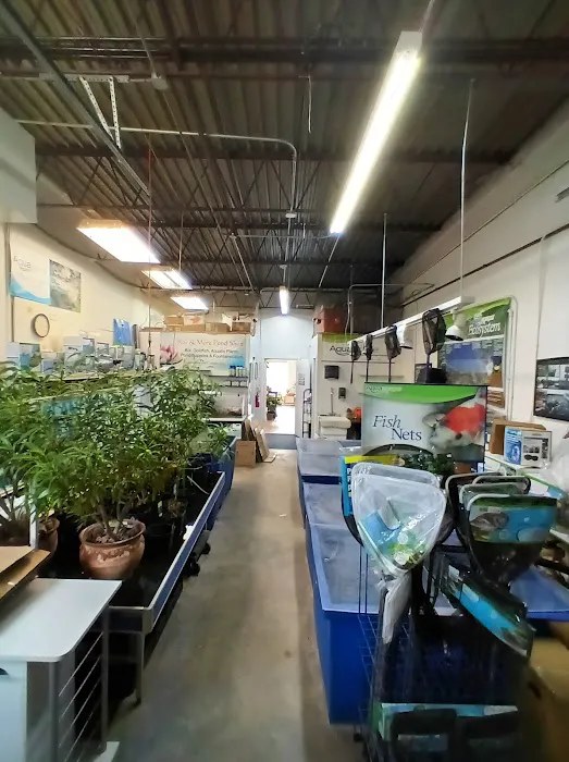 Koi and More Pond Shop Picture 1