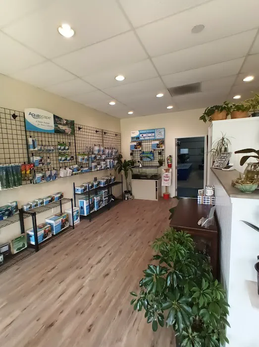 Koi and More Pond Shop Picture 4