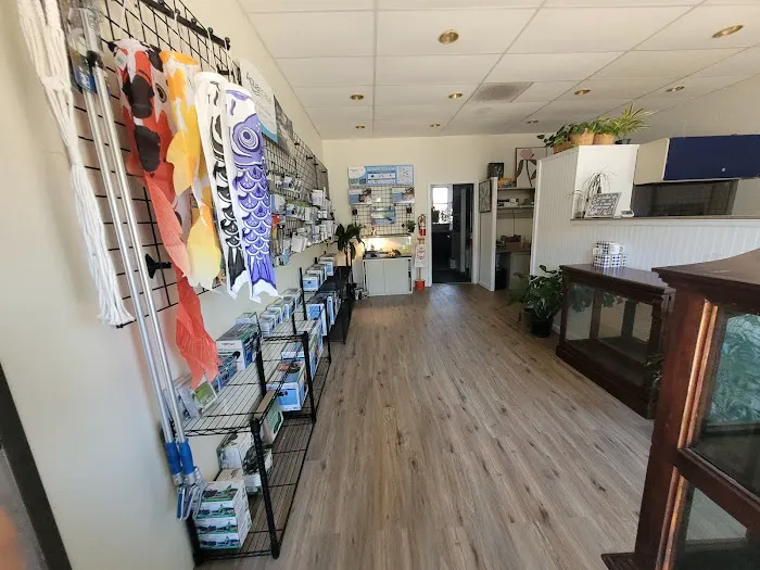 Koi and More Pond Shop Picture 5