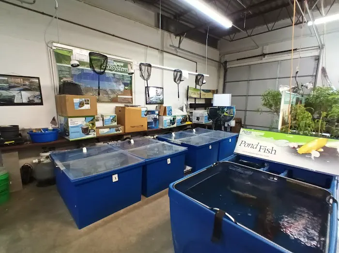 Koi and More Pond Shop Picture 9