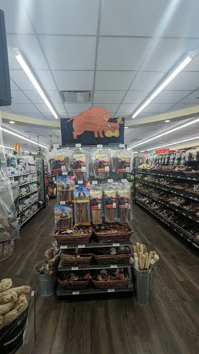 Hollywood Feed Picture 1