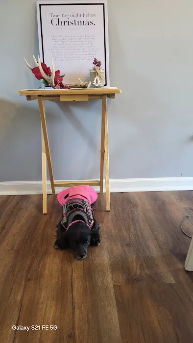 Hollywood Feed Picture 6