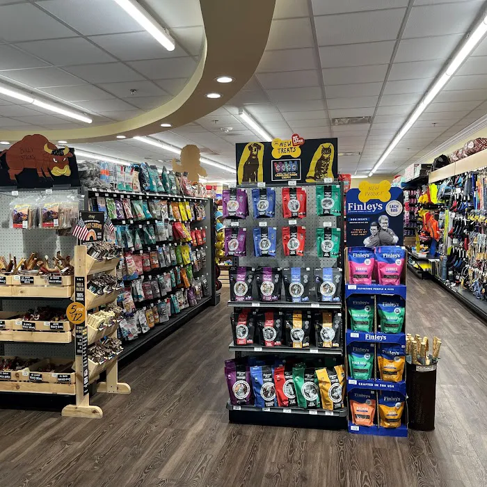 Hollywood Feed Picture 8