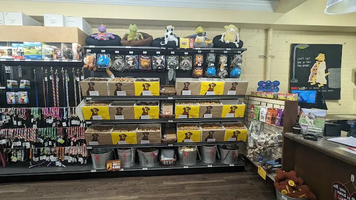 Hollywood Feed Picture 3