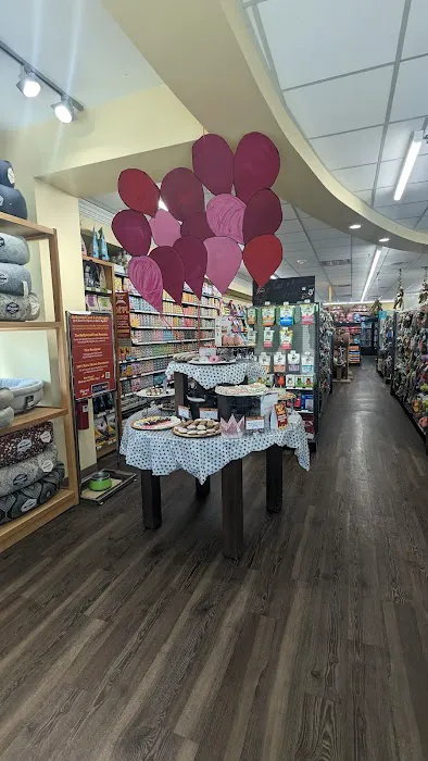 Hollywood Feed Picture 2