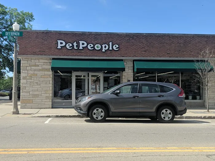 Hollywood Feed Picture 4