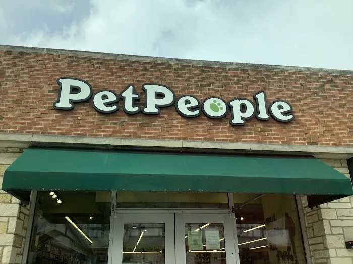 Hollywood Feed Picture 5