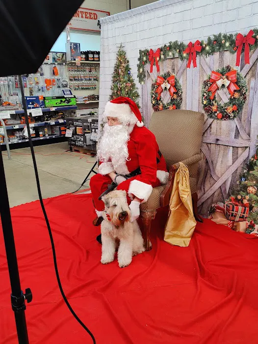Pet Supplies Plus Wauconda Picture 8