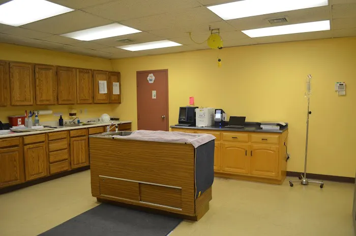 Feeding Hills Veterinary Clinic Picture 8