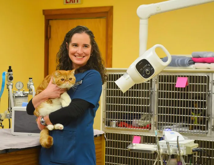 Feeding Hills Veterinary Clinic Picture 3