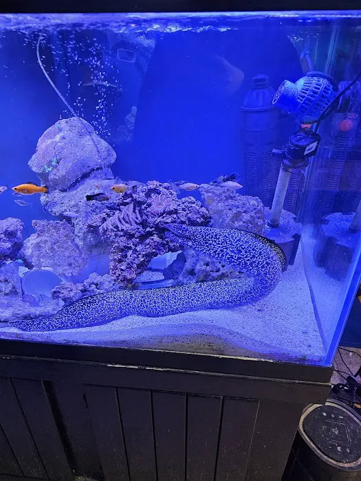 Birds & Beasts Pet Shop Picture 6