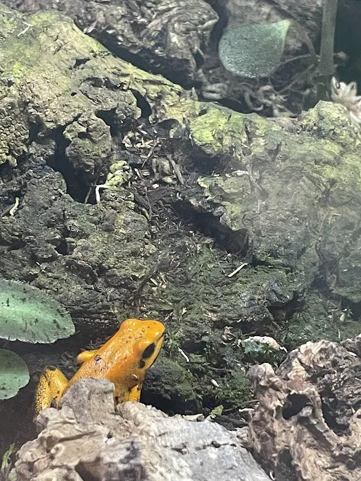 Birds & Beasts Pet Shop Picture 3