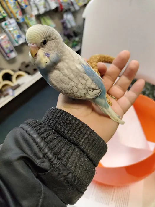 Birds & Beasts Pet Shop Picture 7