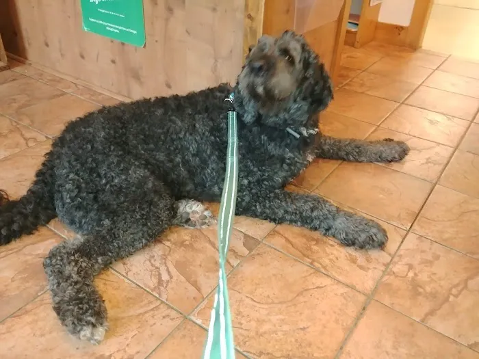 Westbrook Veterinary Hospital Picture 1