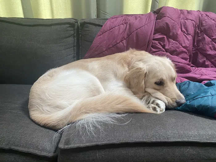 Westbrook Veterinary Hospital Picture 6