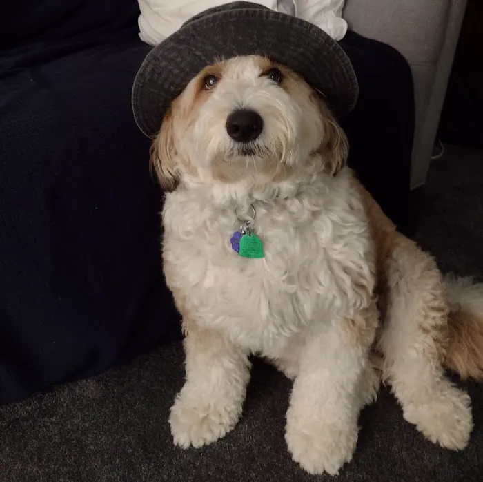 Westbrook Veterinary Hospital Picture 4